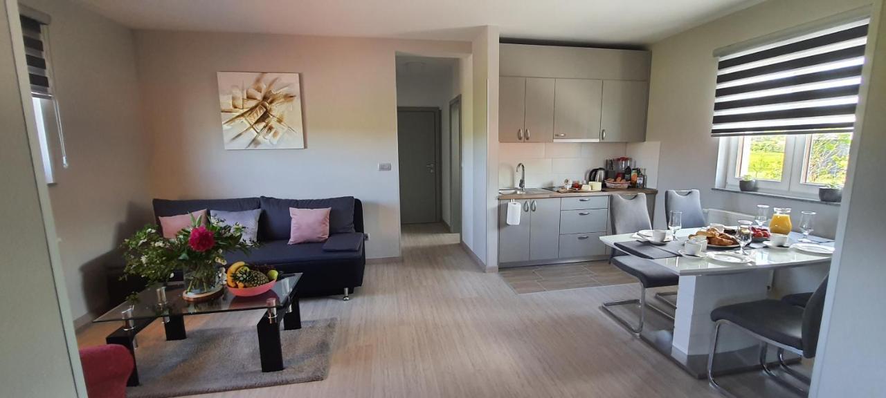 Apartmani Fenestra Tesla I Faust Otočac Extérieur photo