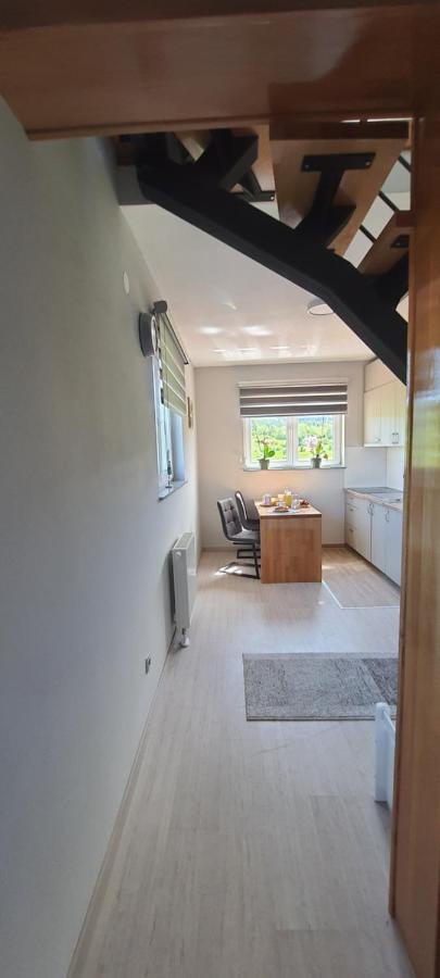 Apartmani Fenestra Tesla I Faust Otočac Extérieur photo
