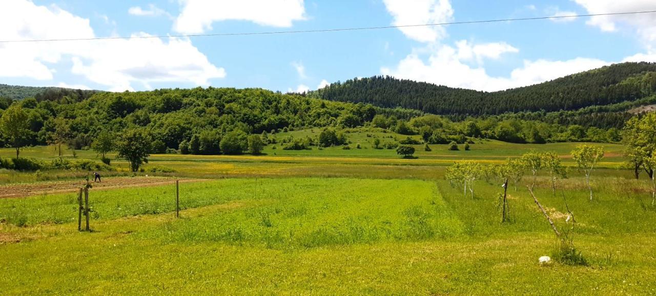 Apartmani Fenestra Tesla I Faust Otočac Extérieur photo